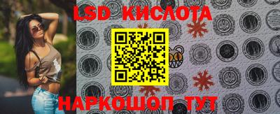 спиды Моздок